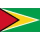 Logo Guyana