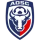 Logo AD San Carlos